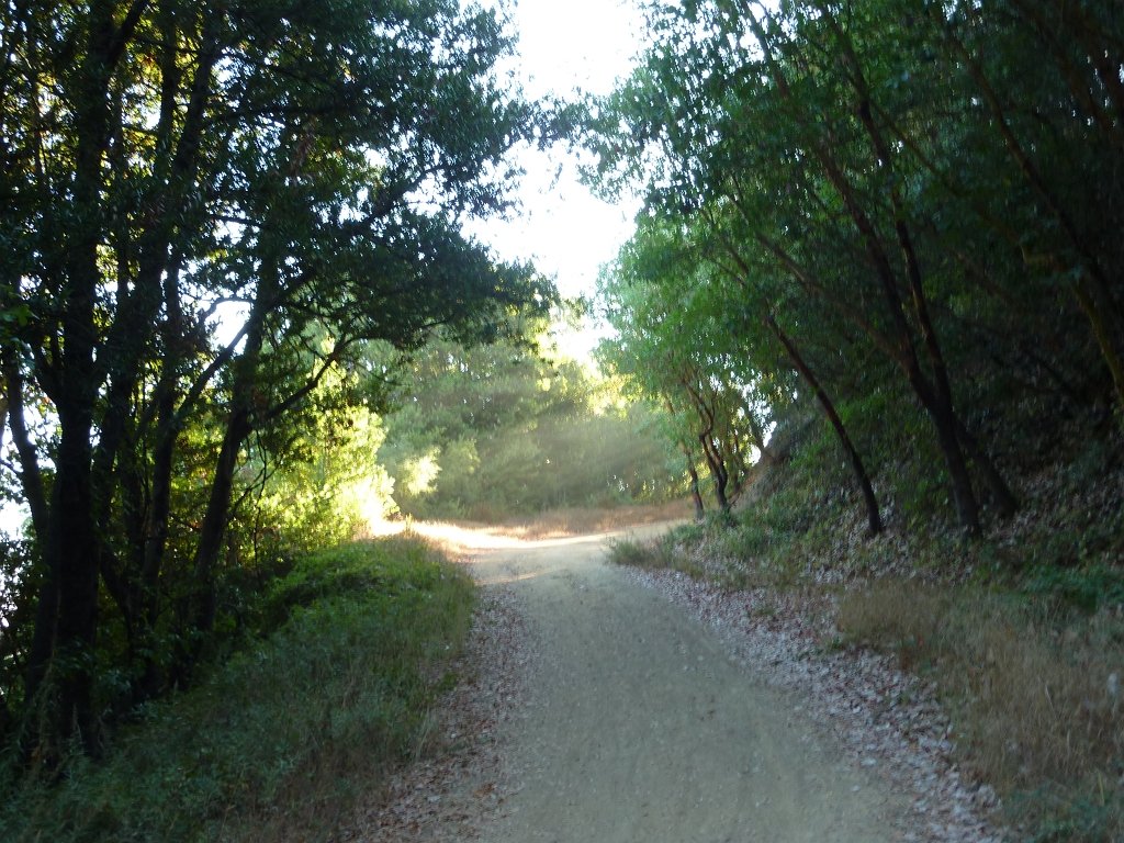 P1040016