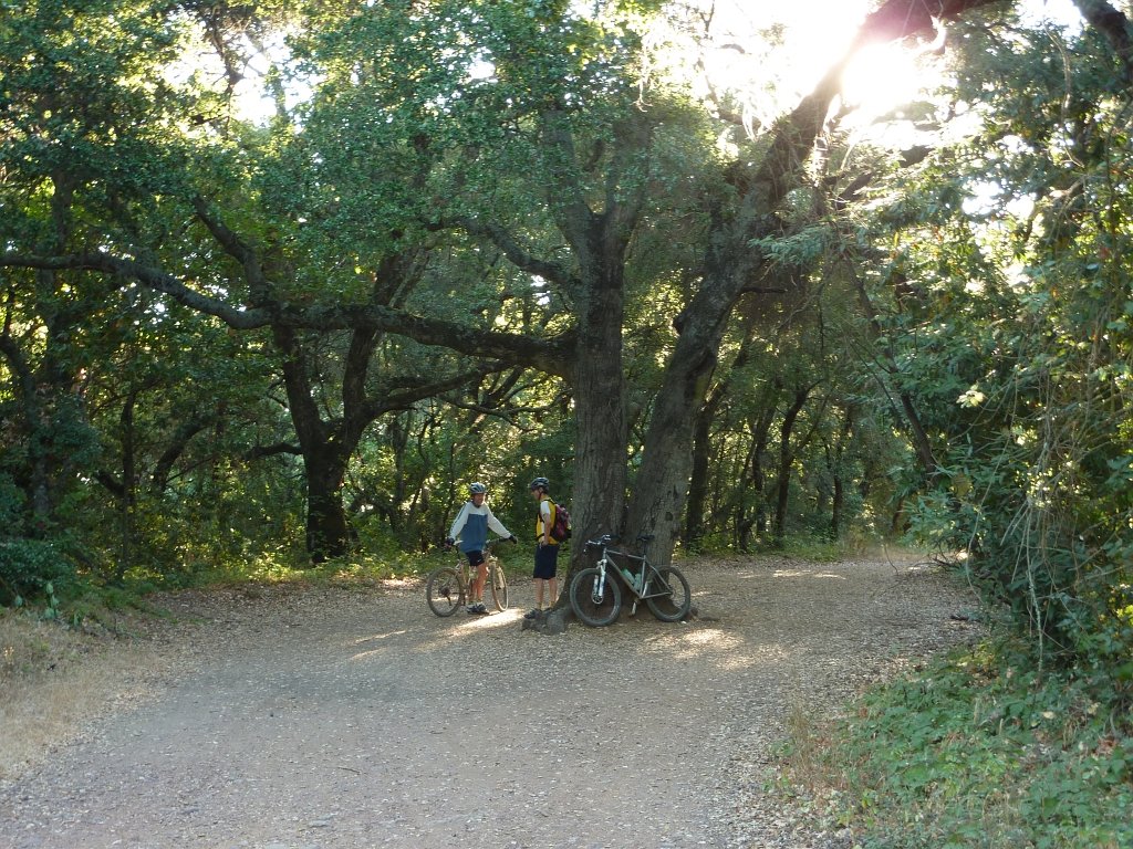 P1040018