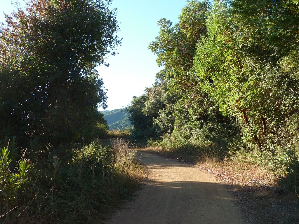 P1040030