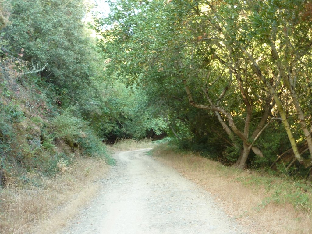 P1040043