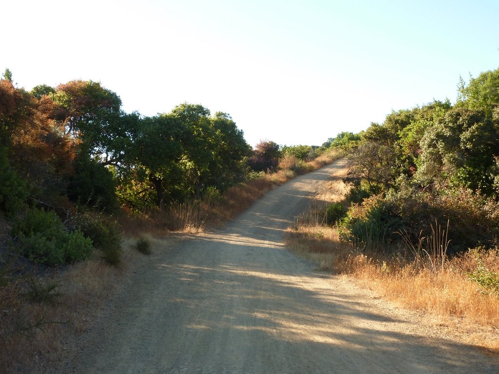 P1040047