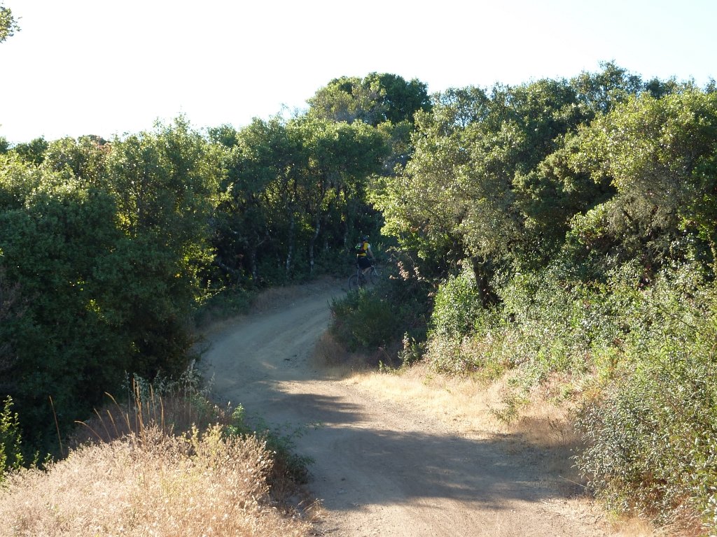 P1040054