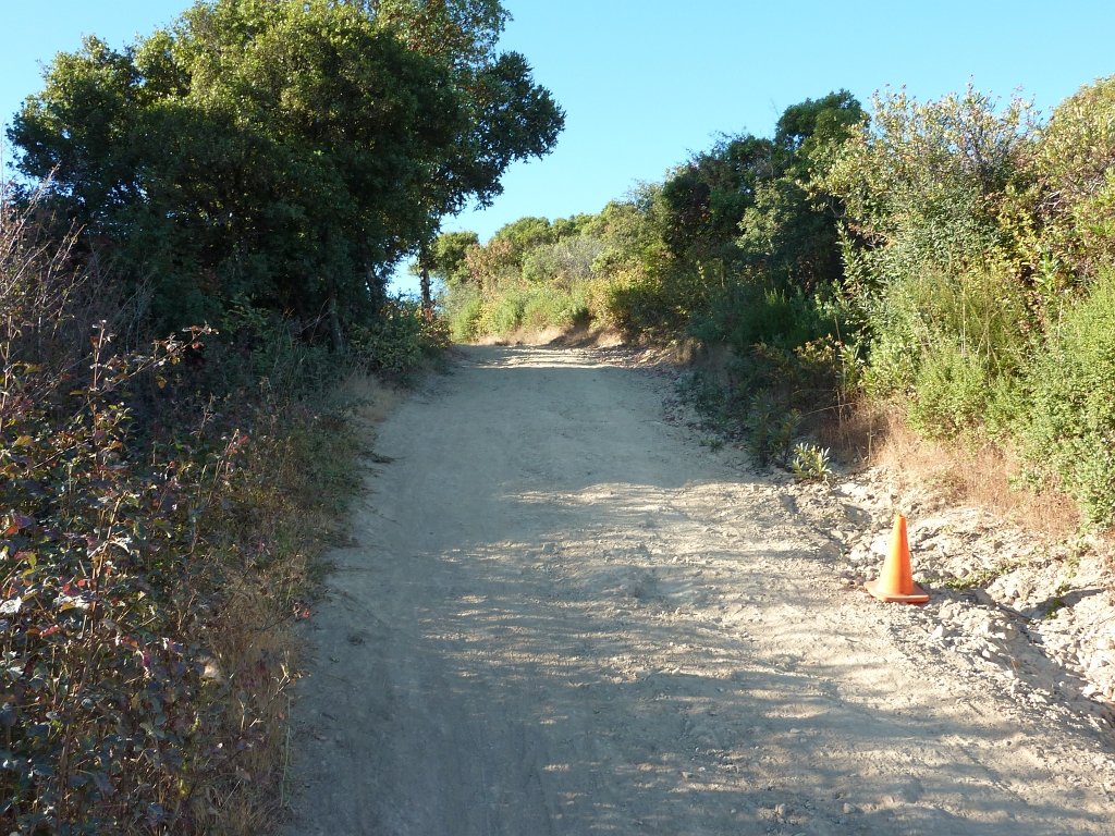 P1040058