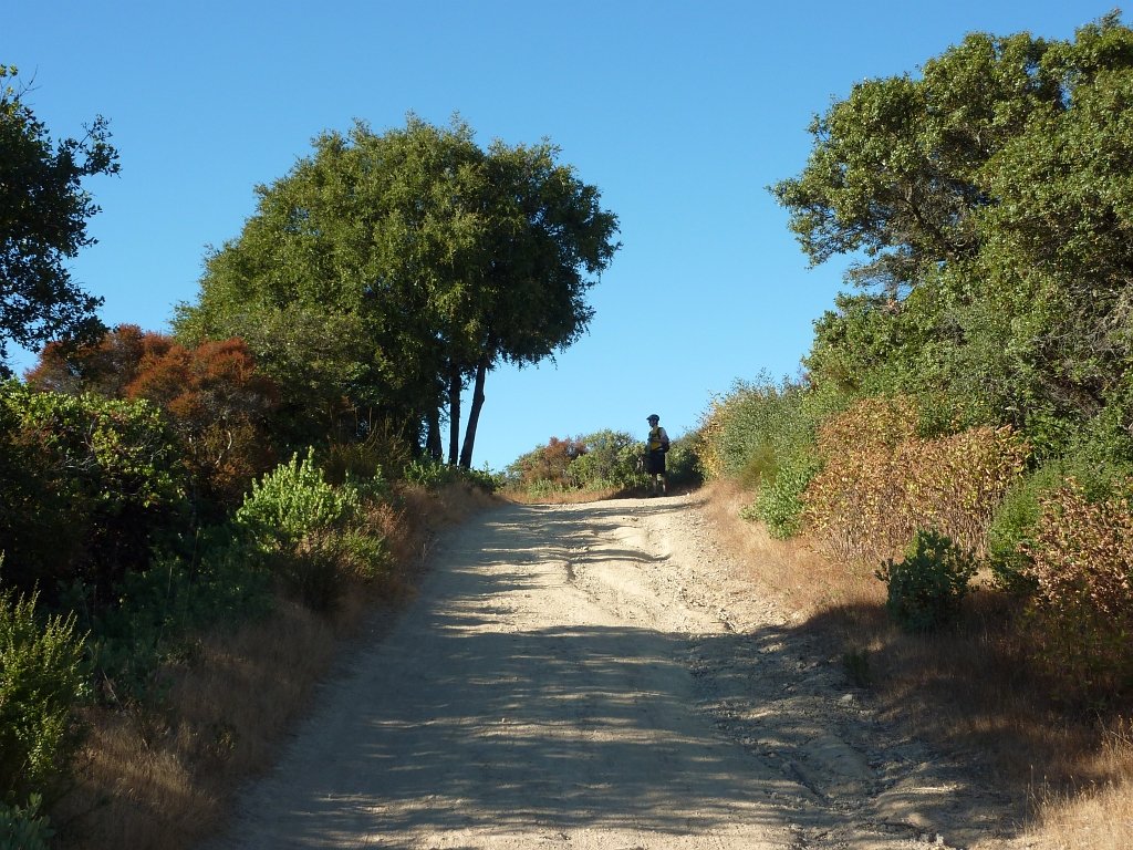 P1040059