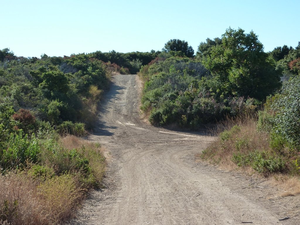 P1040061