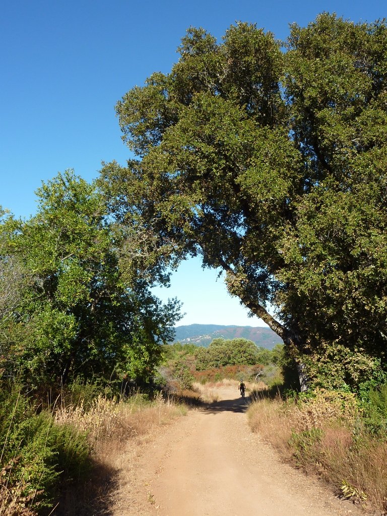 P1040068