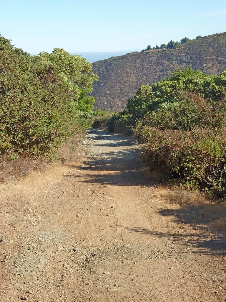 P1040075