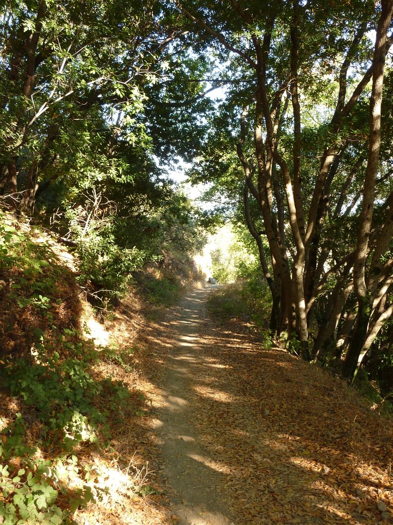 P1040077