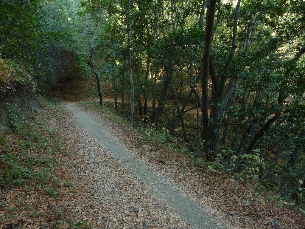 P1040078