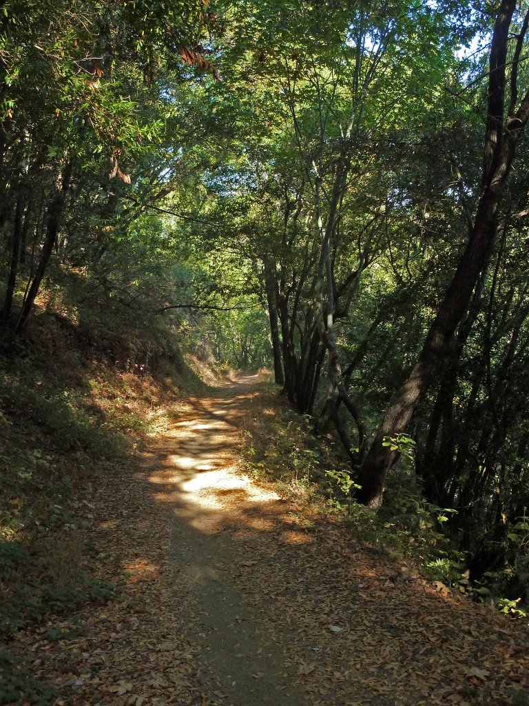 P1040086