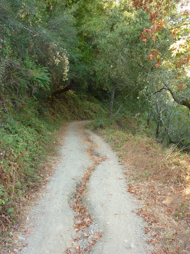 P1040087