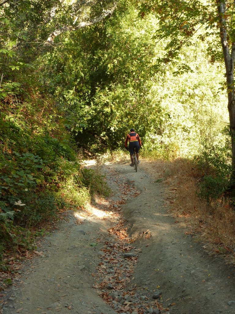 P1040088