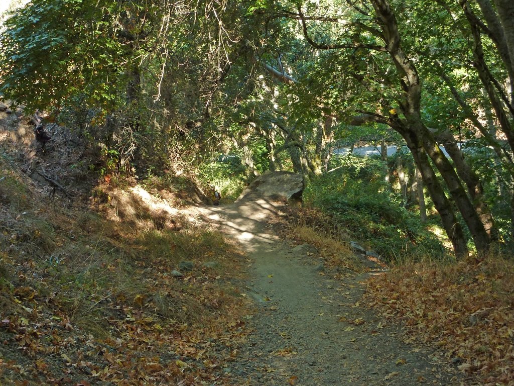 P1040089