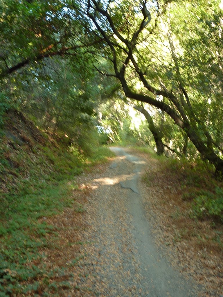 P1040090