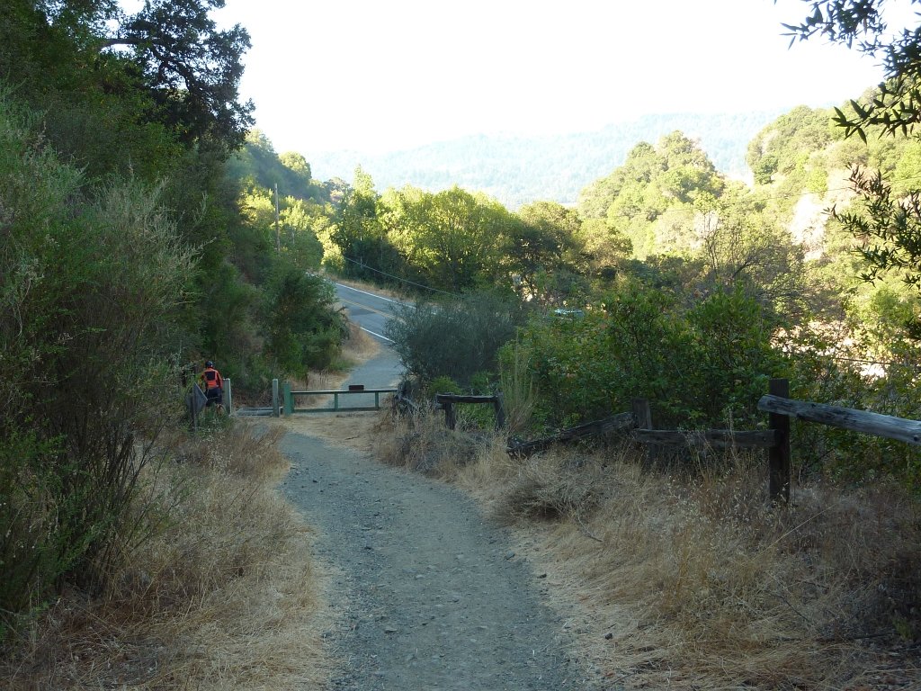 P1040097