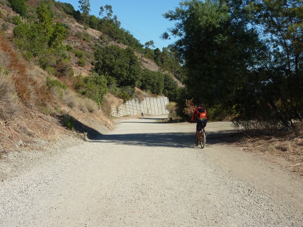 P1040103