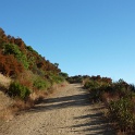 P1040045
