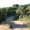 P1040054
