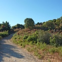 P1040055