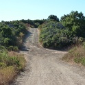 P1040061