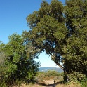 P1040068