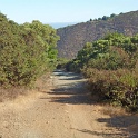 P1040075