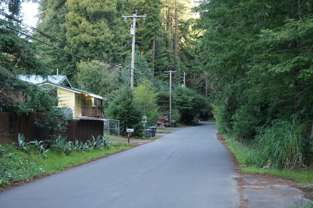 DSC08111