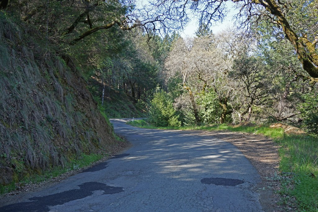 DSC08204