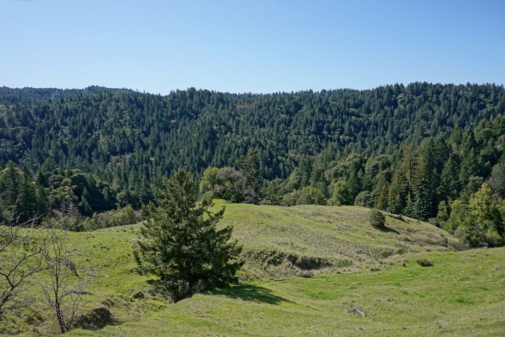 DSC08211
