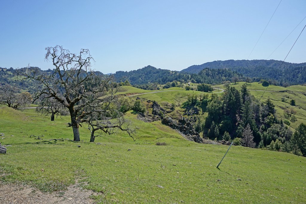 DSC08241