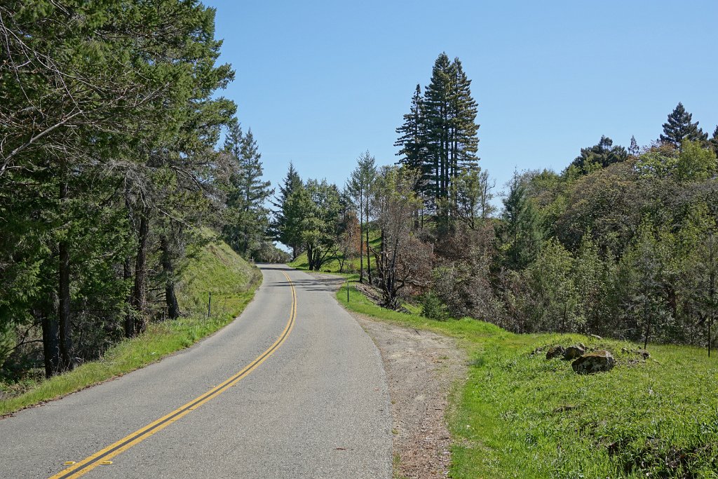 DSC08369
