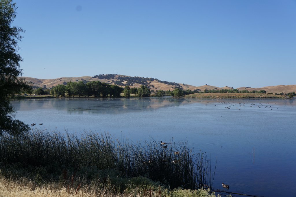 DSC01856