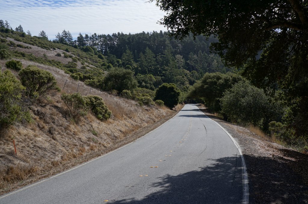 DSC03700