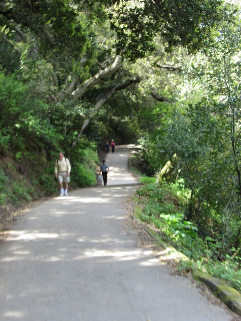 IMG_0093