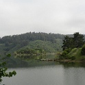 IMG_0009