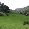 IMG_0052