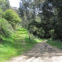 IMG_0065