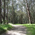 IMG_0071