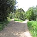 IMG_0091