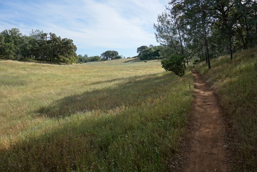 DSC08904