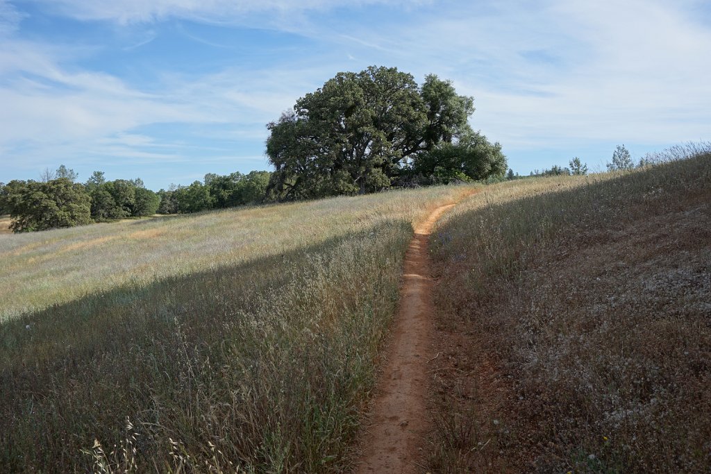 DSC08906