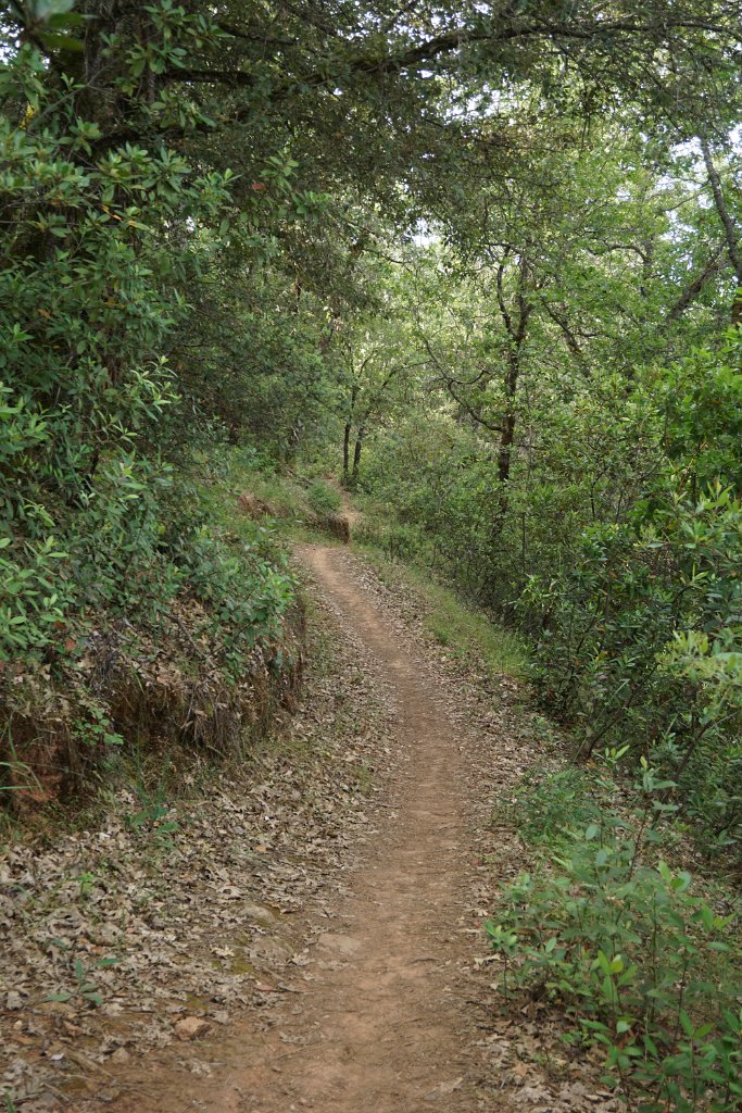DSC08926
