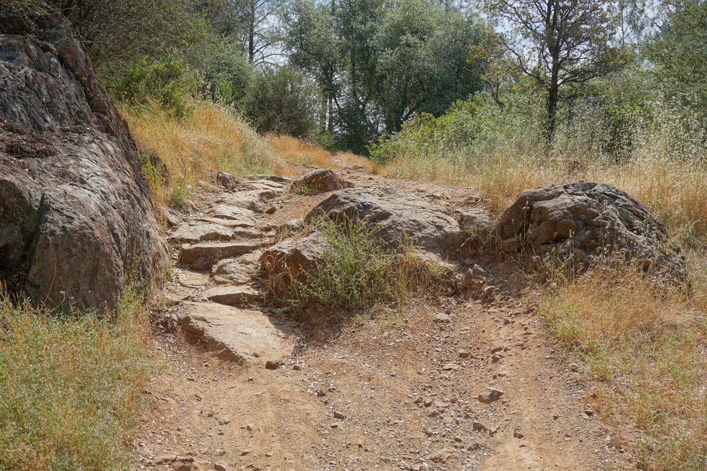 DSC08971