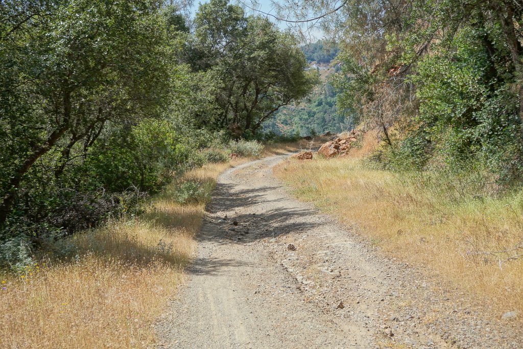 DSC08994