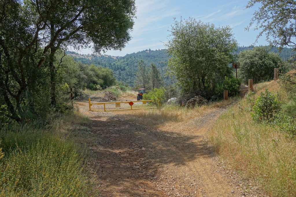 DSC09003