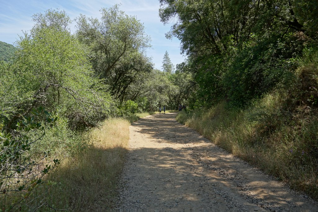 DSC09060