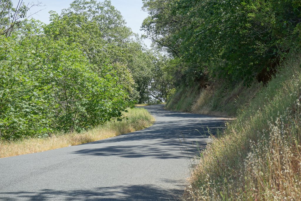 DSC09070