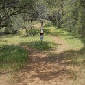 DSC08960