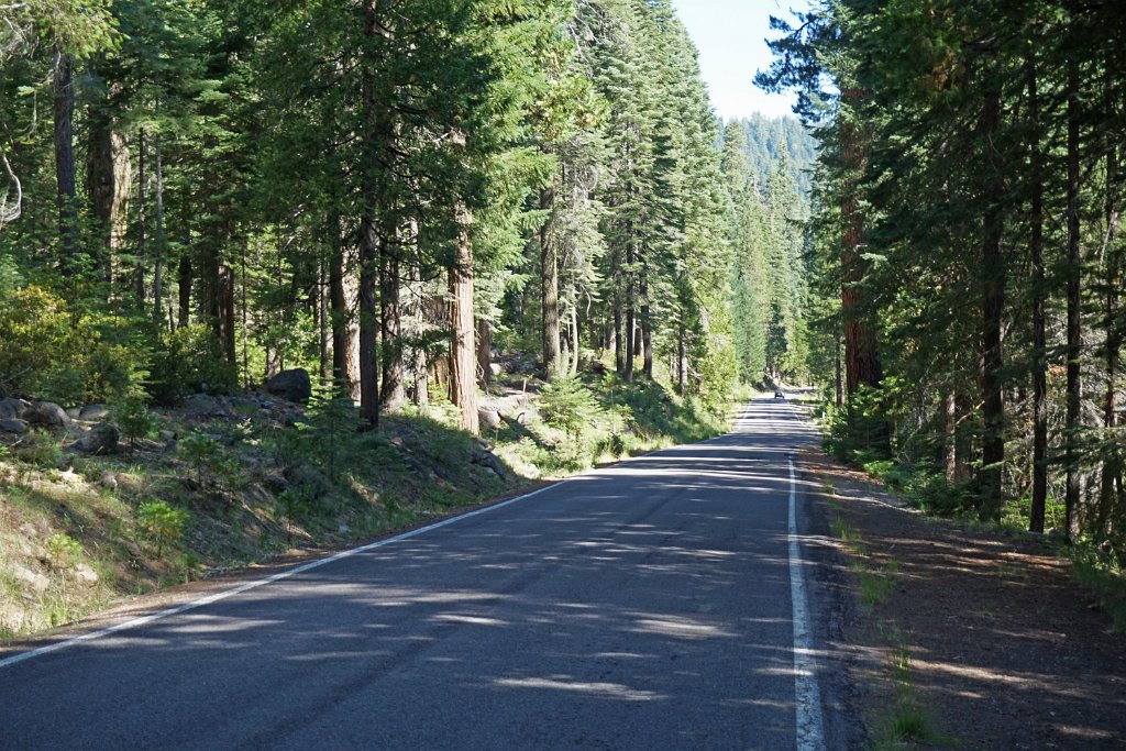 DSC04558