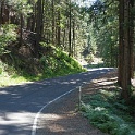DSC04550